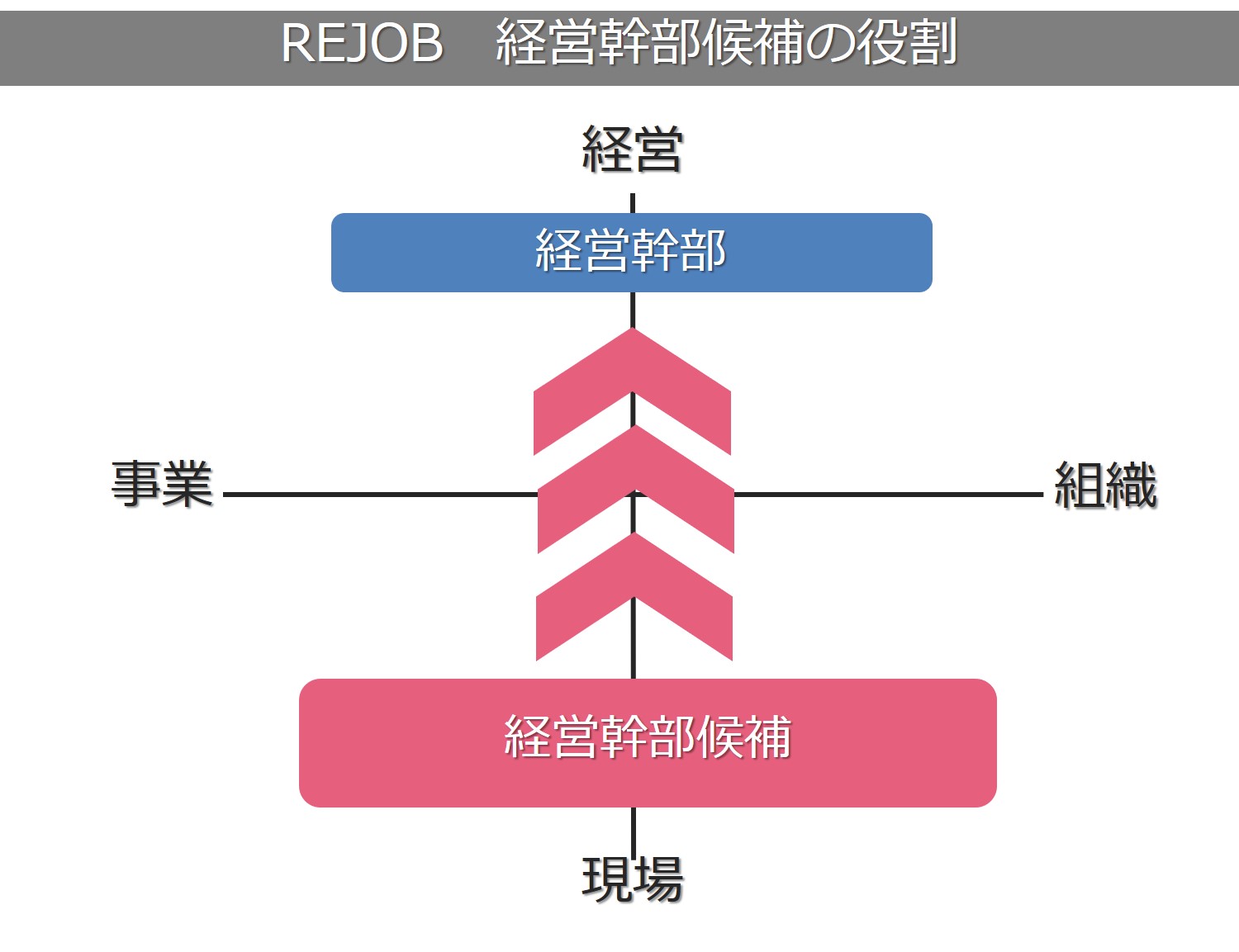 新卒入社で「経営幹部候補」に。その採用基準と気になる研修内容をこそっと教えます。 REJOB BLOG|採用情報 株式会社リジョブ